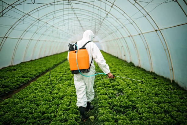 Best Local Pest Control Services  in Richmond, UT