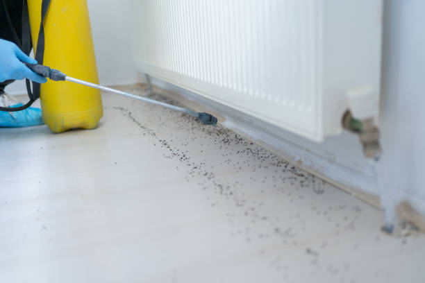 Best Wildlife Control Services  in Richmond, UT