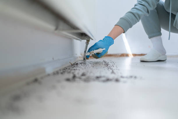 Best Emergency Pest Control  in Richmond, UT