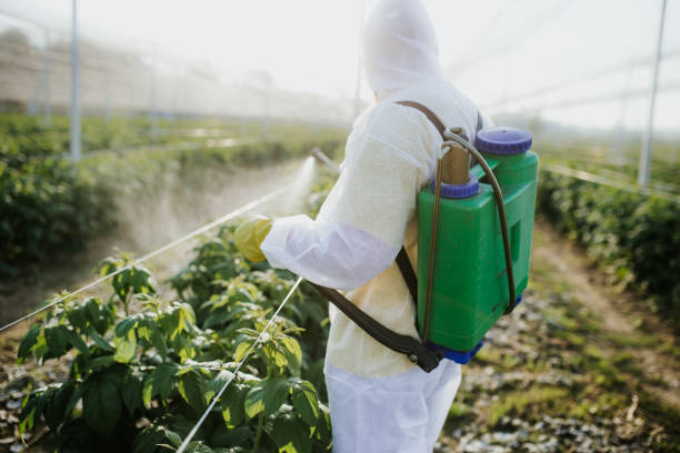 Best Exterminator Services  in Richmond, UT